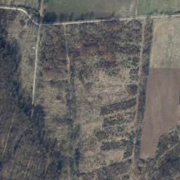 Satellite imagery of 212, DE