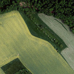 Satellite imagery of Tellenberg, DE