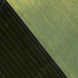 Satellite imagery of Tellenberg, DE