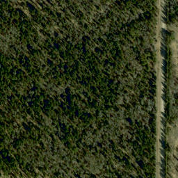 Satellite imagery of Blueberry Hill, CA