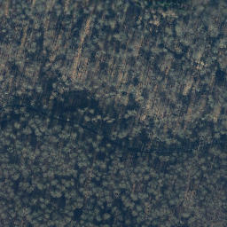 Satellite imagery of Totenberg, DE