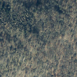 Satellite imagery of Ossenberg, DE