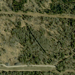 Satellite imagery of Blueberry Hill, CA