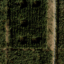 Satellite imagery of MvO 50, NL