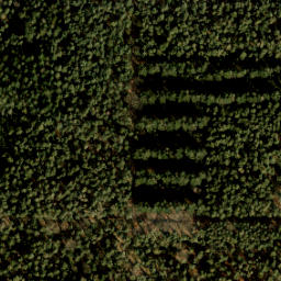 Satellite imagery of MvO 36, NL
