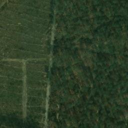 Satellite imagery of Schurenberg, DE