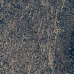 Satellite imagery of Klingenberg, DE