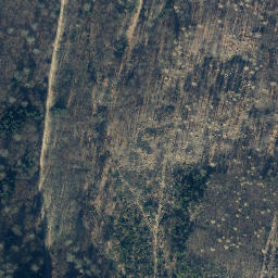 Satellite imagery of Klingenberg, DE
