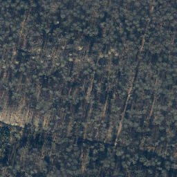 Satellite imagery of Totenberg, DE