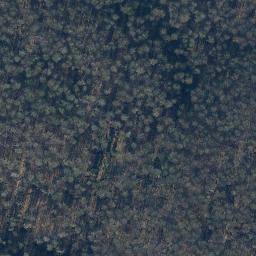 Satellite imagery of Totenberg, DE