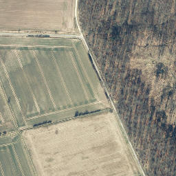 Satellite imagery of Backenberg, DE