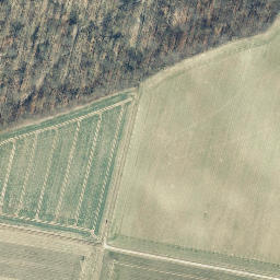 Satellite imagery of Ossenberg, DE