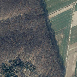 Satellite imagery of Langenberg, DE