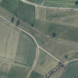 Satellite imagery of Schmiedeberg, DE