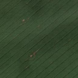 Satellite imagery of Osterberg, DE