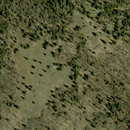 Satellite imagery of Blueberry Hill, CA