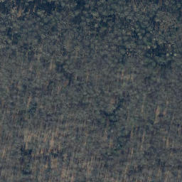 Satellite imagery of Totenberg, DE