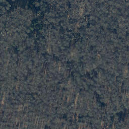 Satellite imagery of Totenberg, DE