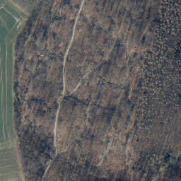 Satellite imagery of Langenberg, DE