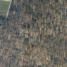 Satellite imagery of N 19, DE