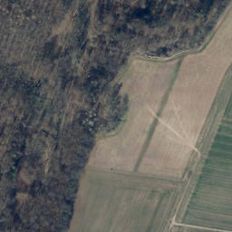 Satellite imagery of Dachsberg, DE