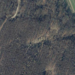 Satellite imagery of Königsberg, DE
