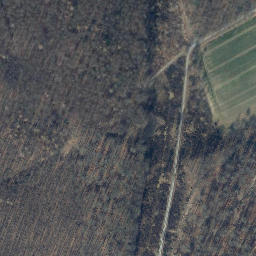 Satellite imagery of Königsberg, DE