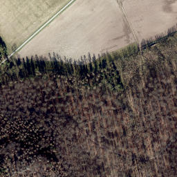 Satellite imagery of Leuchteberg, DE