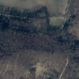 Satellite imagery of Dachsberg, DE