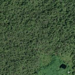 Satellite imagery of Bosquet Point, CA