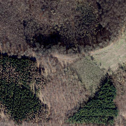 Satellite imagery of Gaulskopf, DE