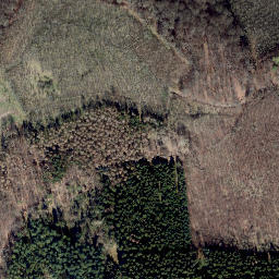 Satellite imagery of Gaulskopf, DE
