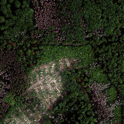Satellite imagery of Schwarzburger Warte, DE