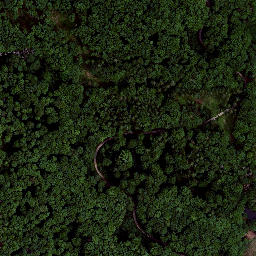 Satellite imagery of Schwarzburger Warte, DE