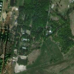 Satelita