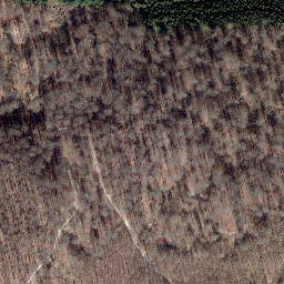 Satellite imagery of Gaulskopf, DE