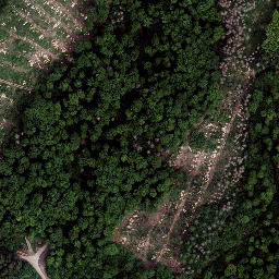 Satellite imagery of Schwarzburger Warte, DE