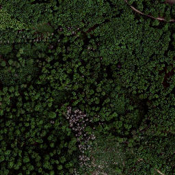 Satellite imagery of Schwarzburger Warte, DE
