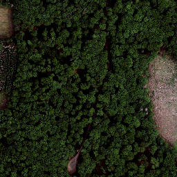 Satellite imagery of Bauerberg, DE