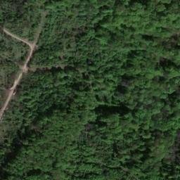 Satellite imagery of Reesberg, DE