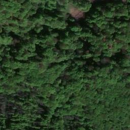 Satellite imagery of Reesberg, DE