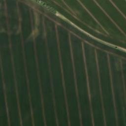 Satellite imagery of Osterberg, DE