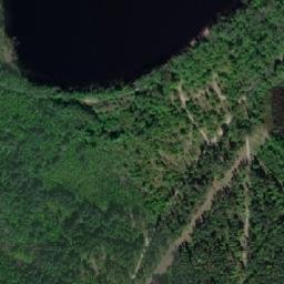 Satelita