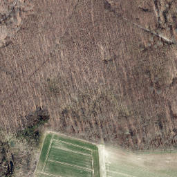 Satellite imagery of Gaulskopf, DE