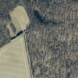Satellite imagery of Sesebühl, DE