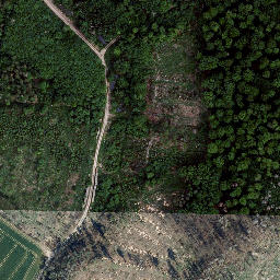 Satellite imagery of Schwarzburger Warte, DE