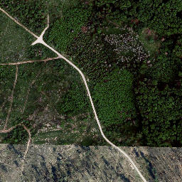 Satellite imagery of Schwarzburger Warte, DE