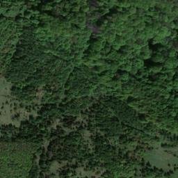 Satellite imagery of Reesberg, DE