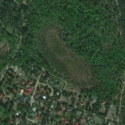 Satelita
