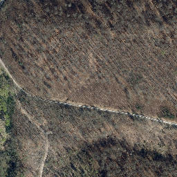 Satellite imagery of Teichmühlberg, DE